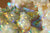 Angel Aura Cactus Quartz Cluster - crystalsbysabeads.com