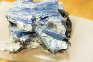 Kyanite Cluster - crystalsbysabeads.com