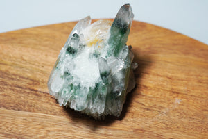 Phantom Quartz with Green Chlorite & Citrine - crystalsbysabeads.com