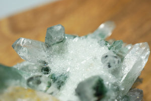 Phantom Quartz with Green Chlorite & Citrine - crystalsbysabeads.com